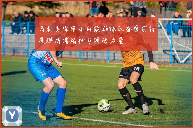 马刺克绿军小白鼓励球队奋勇前行展现拼搏精神与团结力量